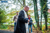 Ennek a képnek nincs leírása.