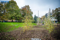 Ennek a képnek nincs leírása.