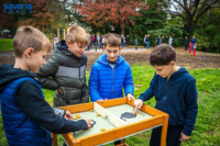 Ennek a képnek nincs leírása.