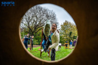 Ennek a képnek nincs leírása.