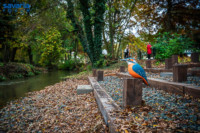 Ennek a képnek nincs leírása.