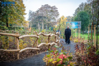 Ennek a képnek nincs leírása.