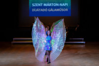 Ennek a képnek nincs leírása.