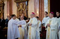 Ennek a képnek nincs leírása.