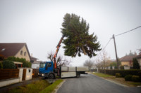 Ennek a képnek nincs leírása.