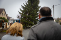 Ennek a képnek nincs leírása.