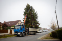 Ennek a képnek nincs leírása.