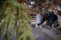 Ennek a képnek nincs leírása.