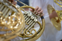 Ennek a képnek nincs leírása.