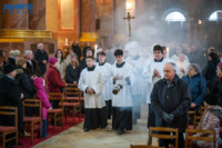 Ennek a képnek nincs leírása.