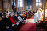 Ennek a képnek nincs leírása.