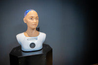 Ennek a képnek nincs leírása.