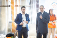 Ennek a képnek nincs leírása.