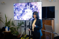 Ennek a képnek nincs leírása.