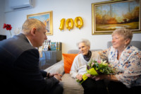 Ennek a képnek nincs leírása.