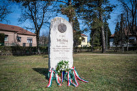 Ennek a képnek nincs leírása.