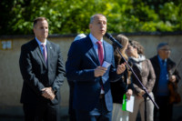 Ennek a képnek nincs leírása.