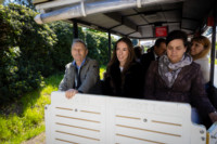 Ennek a képnek nincs leírása.