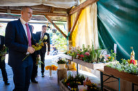 Ennek a képnek nincs leírása.