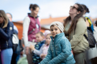 Ennek a képnek nincs leírása.