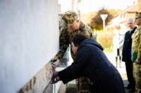 Ennek a képnek nincs leírása.