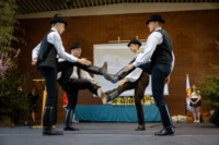 Ennek a képnek nincs leírása.