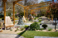 Ennek a képnek nincs leírása.