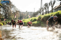 Ennek a képnek nincs leírása.