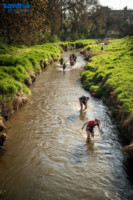 Ennek a képnek nincs leírása.