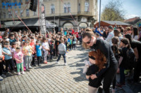 Ennek a képnek nincs leírása.