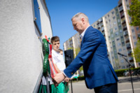 Ennek a képnek nincs leírása.