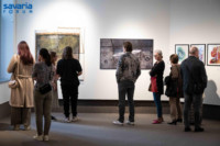 Ennek a képnek nincs leírása.