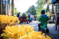 Cím nélküli előnézeti kép. Ennek a képnek nincs leírása.