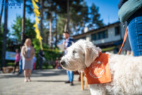 Cím nélküli előnézeti kép. Ennek a képnek nincs leírása.