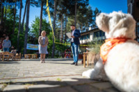 Cím nélküli előnézeti kép. Ennek a képnek nincs leírása.