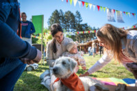 Cím nélküli előnézeti kép. Ennek a képnek nincs leírása.