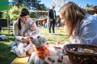 Cím nélküli előnézeti kép. Ennek a képnek nincs leírása.