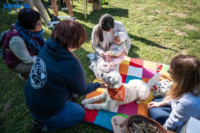 Cím nélküli előnézeti kép. Ennek a képnek nincs leírása.