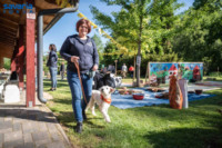 Cím nélküli előnézeti kép. Ennek a képnek nincs leírása.