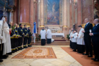 Ennek a képnek nincs leírása.