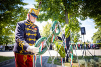 Cím nélküli előnézeti kép. Ennek a képnek nincs leírása.