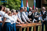 Ennek a képnek nincs leírása.