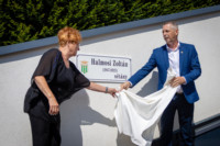 Ennek a képnek nincs leírása.