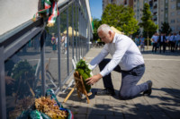 Ennek a képnek nincs leírása.