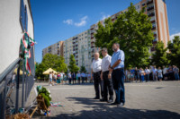 Ennek a képnek nincs leírása.