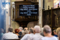 Ennek a képnek nincs leírása.