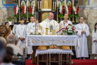 Ennek a képnek nincs leírása.