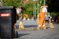 Ennek a képnek nincs leírása.