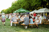 Ennek a képnek nincs leírása.