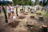 Ennek a képnek nincs leírása.